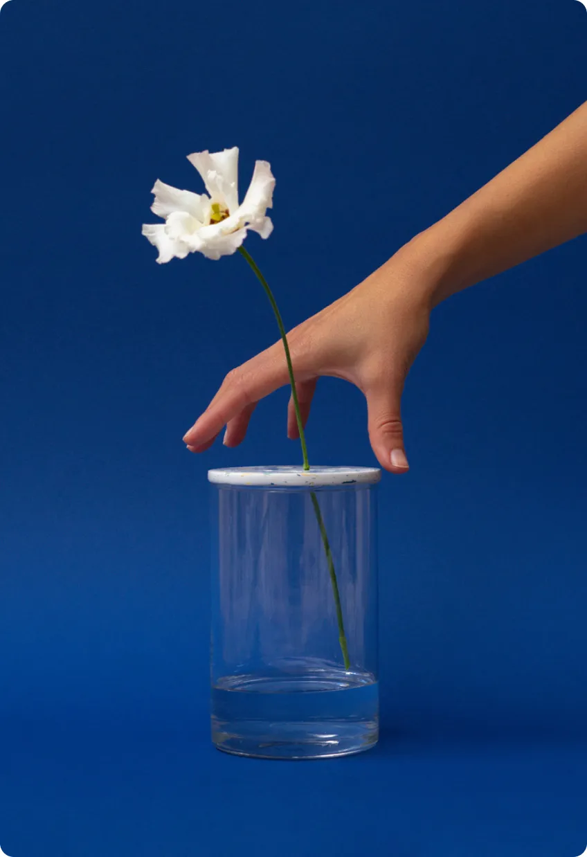 Art direction by soho studio