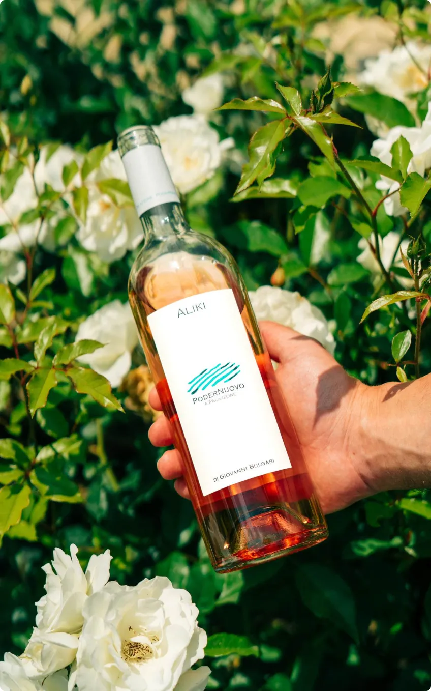 Shooting service by soho studio